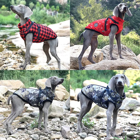 Stylish and warm for the furry friend this winter with our Winter Dog Clothes