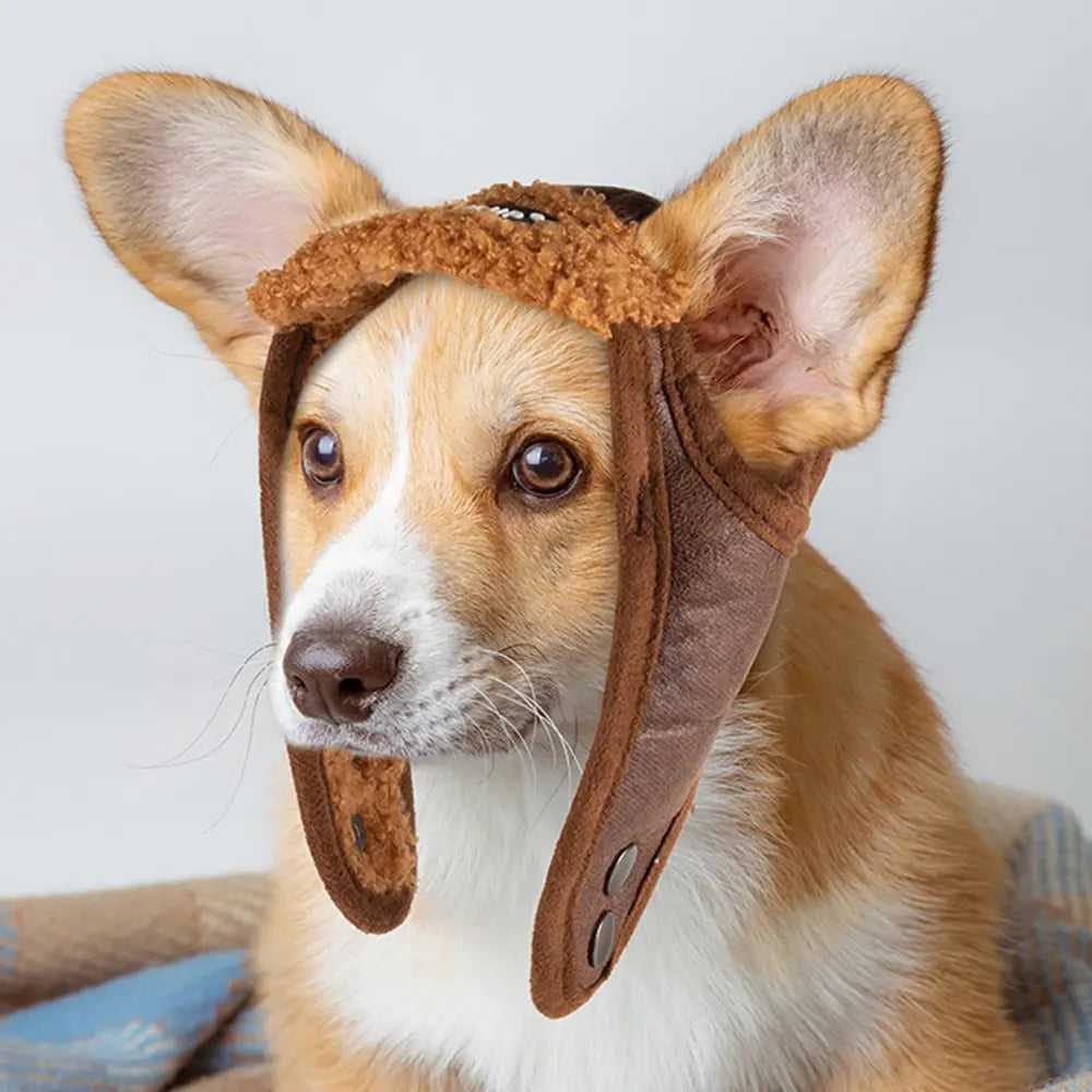 Winter Pet Dog Hat, you can make sure your pet stays warm and stylish.