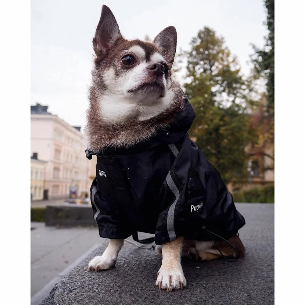 Warm up in the Winter Dog Face Jacket.