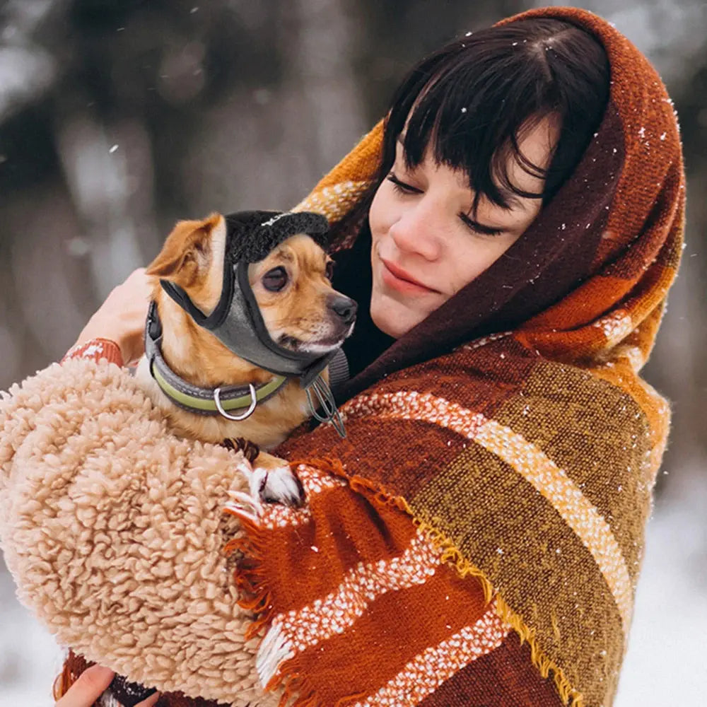 Winter Pet Dog Hat, you can make sure your pet stays warm and stylish.